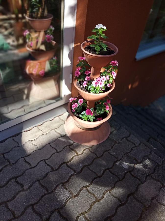 Hotel Pergola Panzio Balatonföldvár Exterior foto